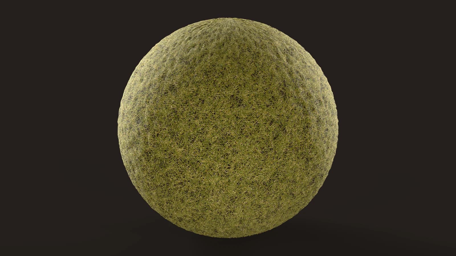 Grass 01: Rendering der Textur auf einer Kugel, dunkle Bühne