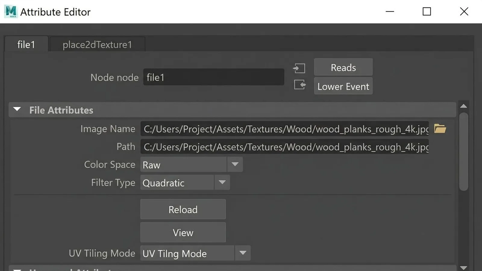 Maya Attribute Editor for a file node with the Color Space dropdown set to Raw